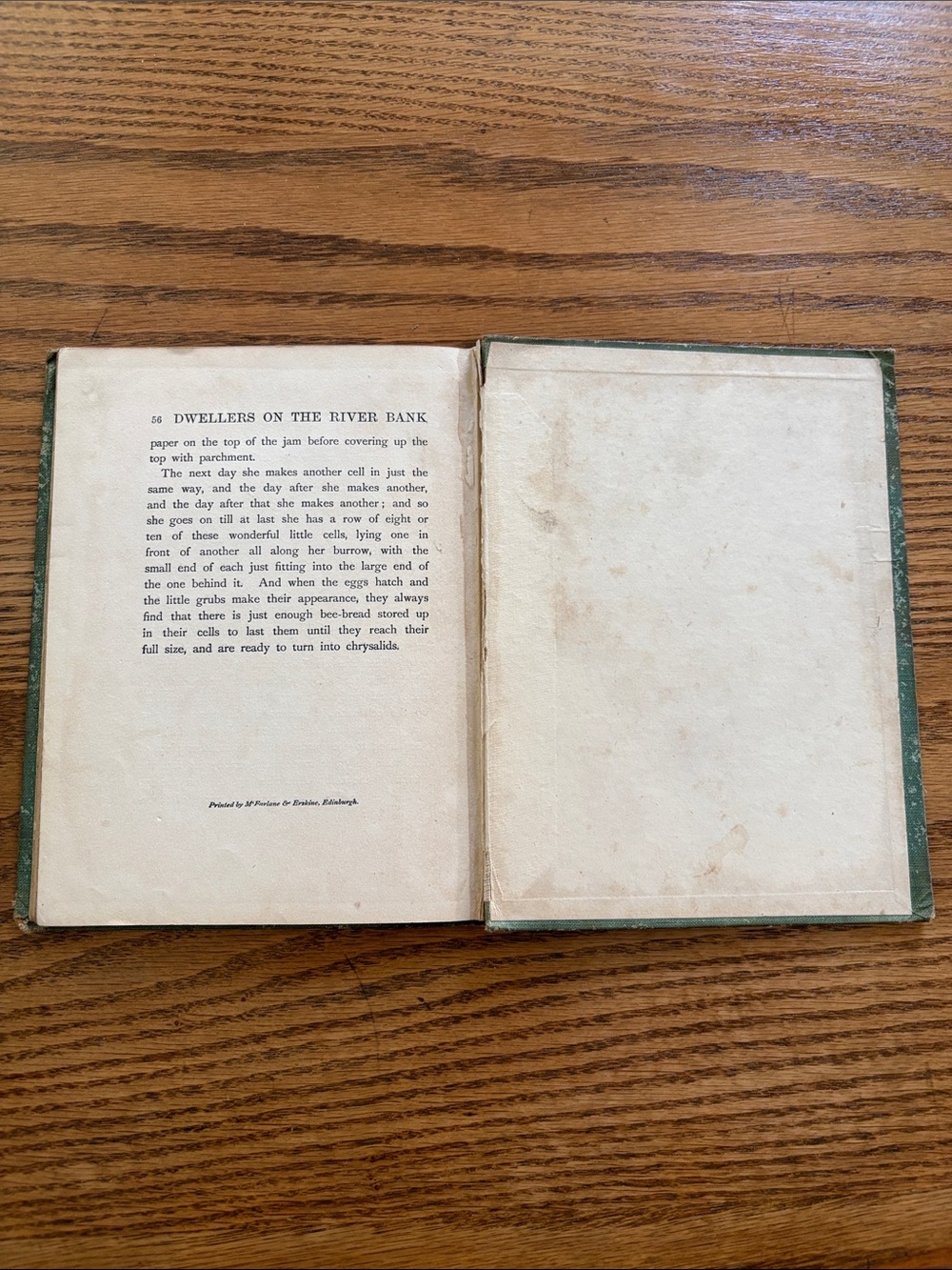 Vintage Bird Book “Dwellers on the River Banks” - Picture 7 of 12